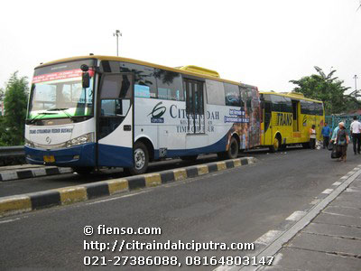 jadwal feeder bus baru