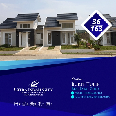 Tulip 4 Hoek, 36/163