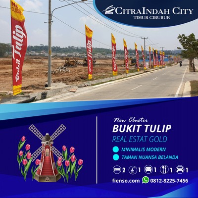 Tulip3384Citraindahcity-FIENSO-02