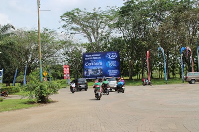 Cattleya, citra indah