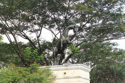 rosella, citra indah